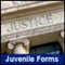 Juvenile Level 3 Disposition and Commitment Order (Delinquent) J-462